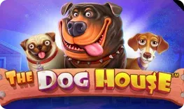 Biggg Casino – The Dog House